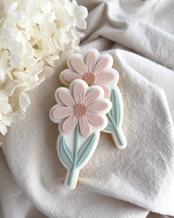 COOKI CO CUTS – COOKI CO CUTS pty ltd