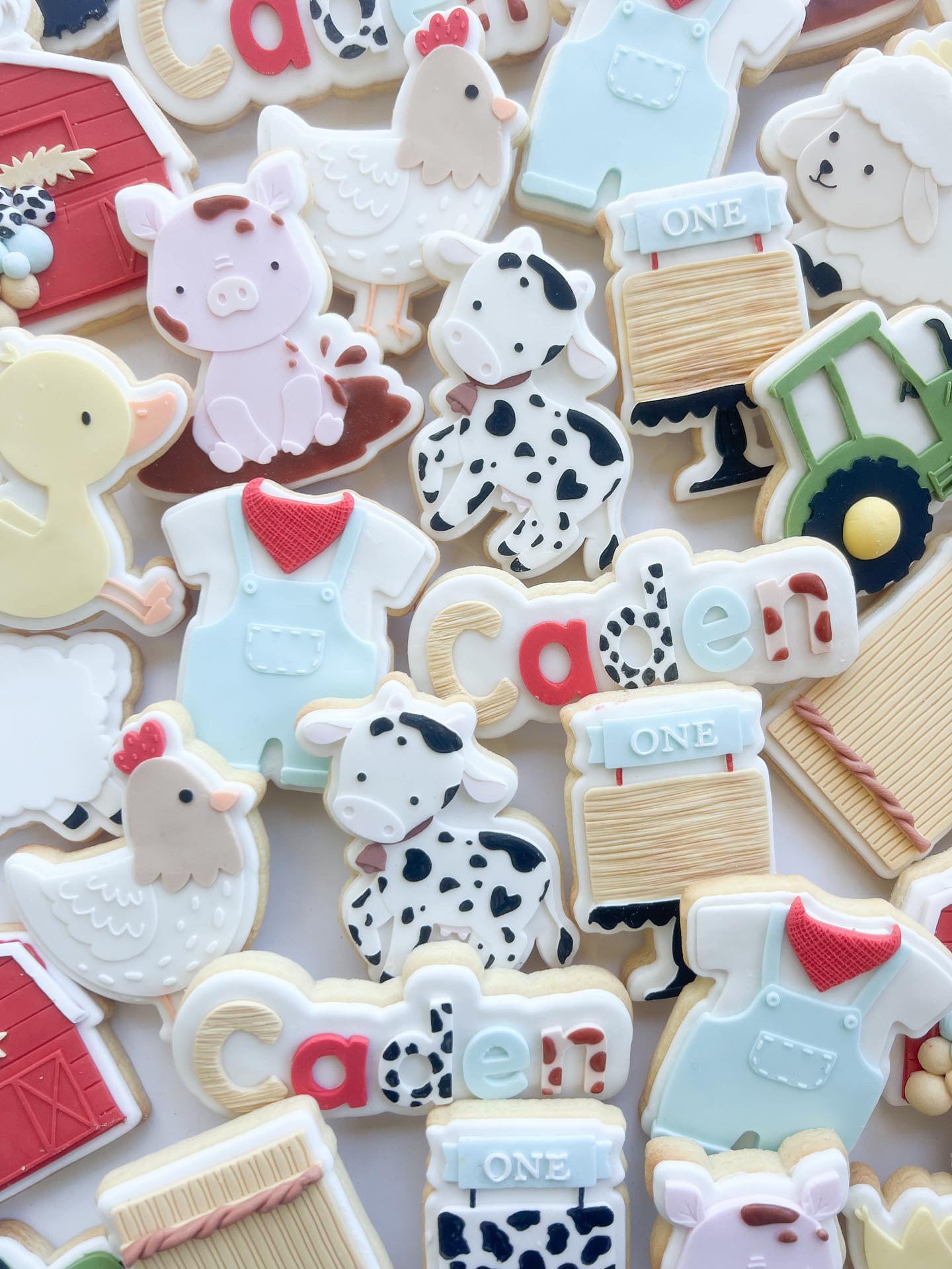 COOKI CO CUTS – COOKI CO CUTS