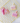 Cake slice DEBOSSER + CUTTER